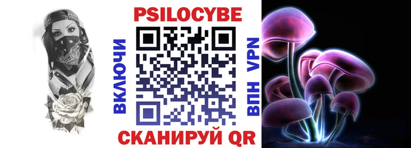 Купить где  Нововоронеж  Псилоцибиновые грибы мицелий 